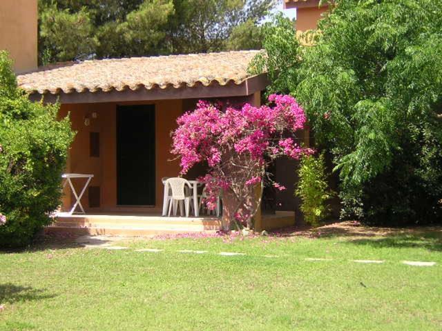 Villetta Ginestre Basse A Due Passi Dalla Spiaggia Holiday home Monte Nai