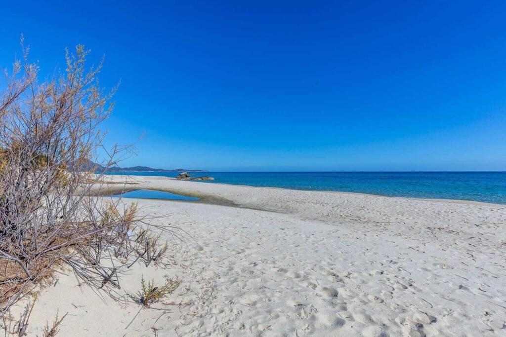 Villetta Ginestre Basse A Due Passi Dalla Spiaggia * Monte Nai