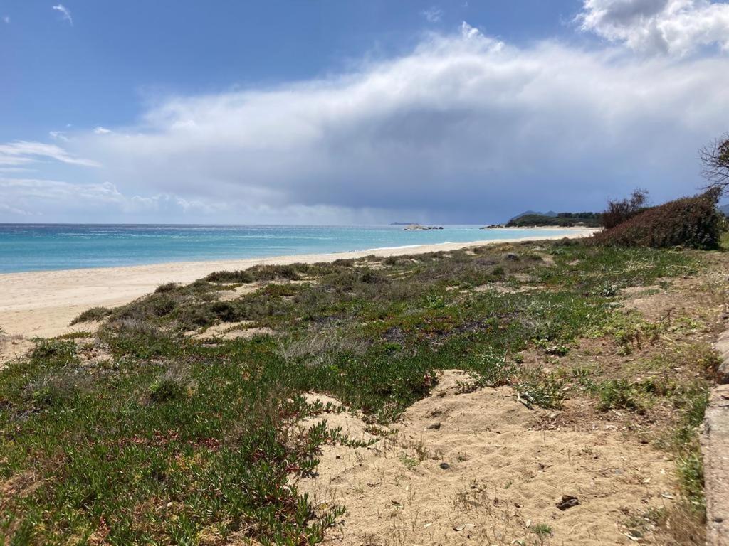 Villetta Ginestre Basse A Due Passi Dalla Spiaggia *